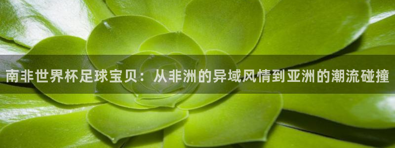 2026世界杯亚洲区预选赛赛程：南非世界杯足球宝贝：从非洲的异域风情到亚洲的潮流碰撞