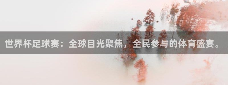 2026世界杯亚洲区预选赛：世界杯足球赛：全球目光聚焦，全民参与的体育盛宴。