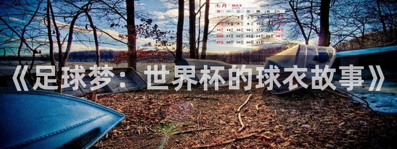 世界杯2026赛制：《足球梦：世界杯的球衣故事》