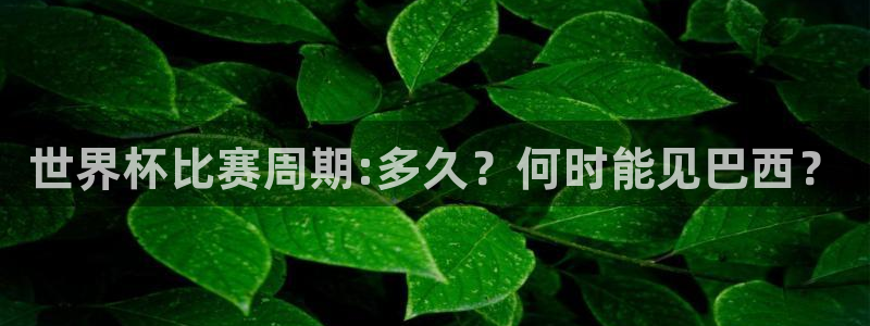 世预赛直播：世界杯比赛周期:多久？何时能见巴西？