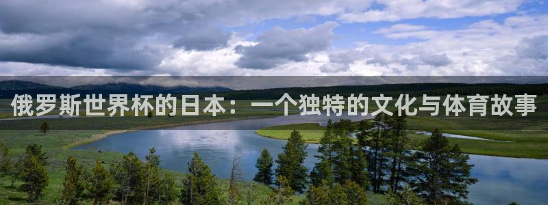 世界杯直播时间：俄罗斯世界杯的日本：一个独特的文化与体育故事