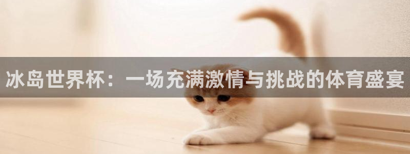 世界杯直播高清：冰岛世界杯：一场充满激情与挑战的体育盛宴