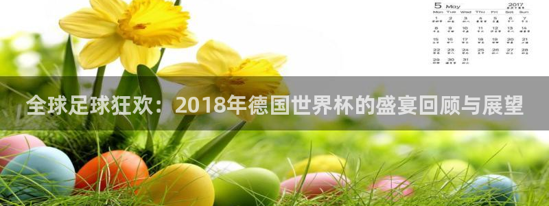 预选赛世界杯：全球足球狂欢：2018年德国世界杯的盛宴回顾与展望