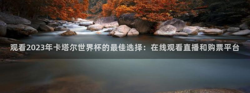 世界杯欧洲区世预赛赛程：观看2023年卡塔尔世界杯的最佳选择：在线观看直播和购票平台