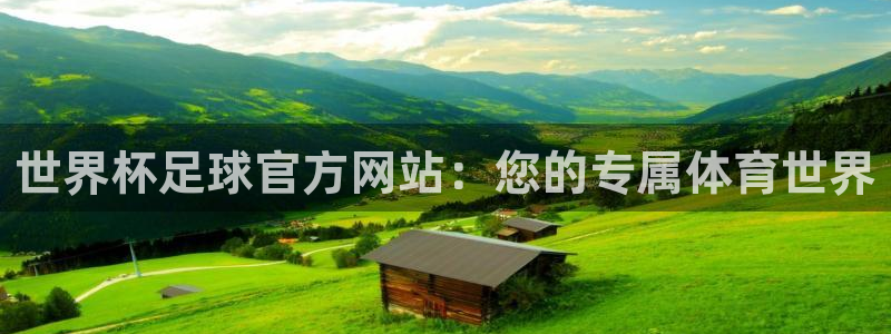 2026世界杯赛程表完整版：世界杯足球官方网站：您的专属体育世界