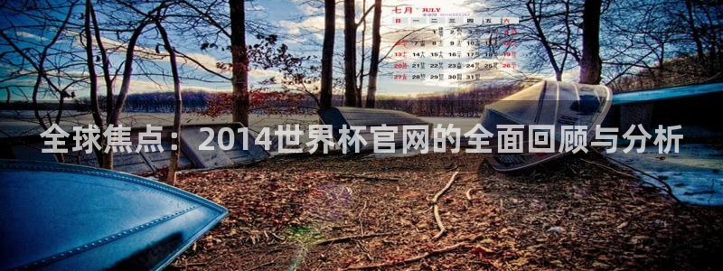 足球世界杯：全球焦点：2014世界杯官网的全面回顾与分析