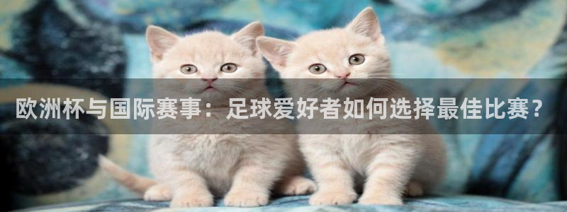 世界杯决赛预测：欧洲杯与国际赛事：足球爱好者如何选择最佳比赛？