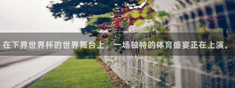 2026世界杯预选赛：在下界世界杯的世界舞台上，一场独特的体育盛宴正在上演。