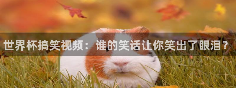 足球比分直播世界杯：世界杯搞笑视频：谁的笑话让你笑出了眼泪？
