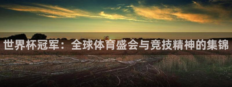 世界杯足球赛2026：世界杯冠军：全球体育盛会与竞技精神的集锦