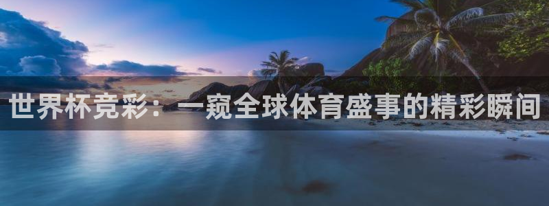 联赛杯直播：世界杯竞彩：一窥全球体育盛事的精彩瞬间