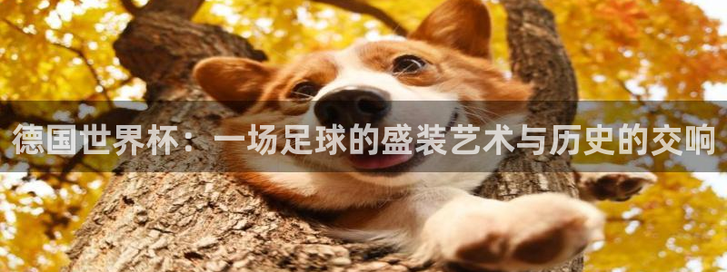 世界杯欧洲预选赛：德国世界杯：一场足球的盛装艺术与历史的交响