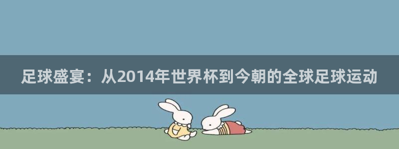 2026年世界杯直播平台：足球盛宴：从2014年世界杯到今朝的全球足球运动