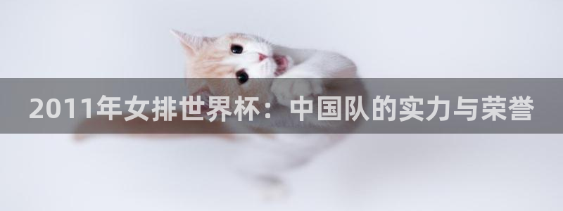 女足世界杯赛程：2011年女排世界杯：中国队的实力与荣誉